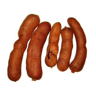 Kurkuma frisch
