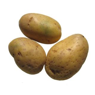 Kartoffel "Laura" vfk Sack 12,5kg