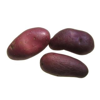 Kartoffeln "Laura" vfk