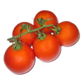 Strauchtomaten rot