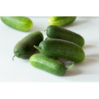 Einlegegurken