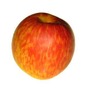 Apfel "Red Jonaprince"