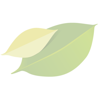 Apfel "Jonagold"