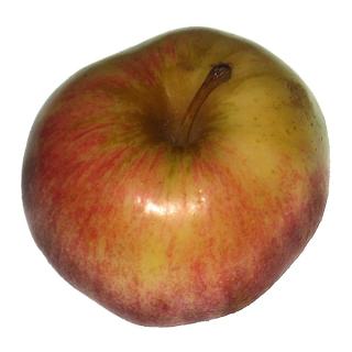 Apfel "Summercrisp"