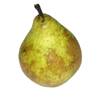 Birne "Williams"