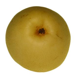 Nashi Birne