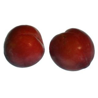 Pflaume rot