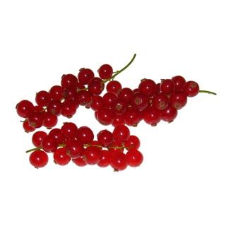Johannisbeeren rot 250g