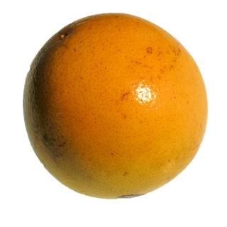 Grapefruit Stück